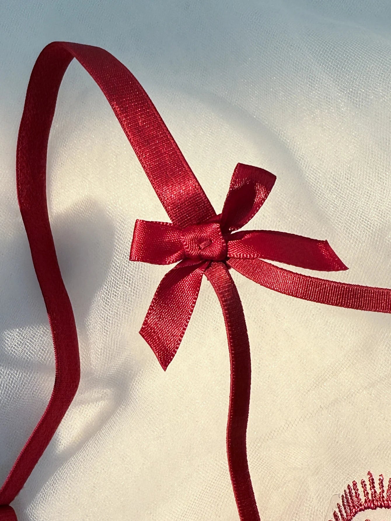 WineRed French-style floral embroidery lace lingerie set