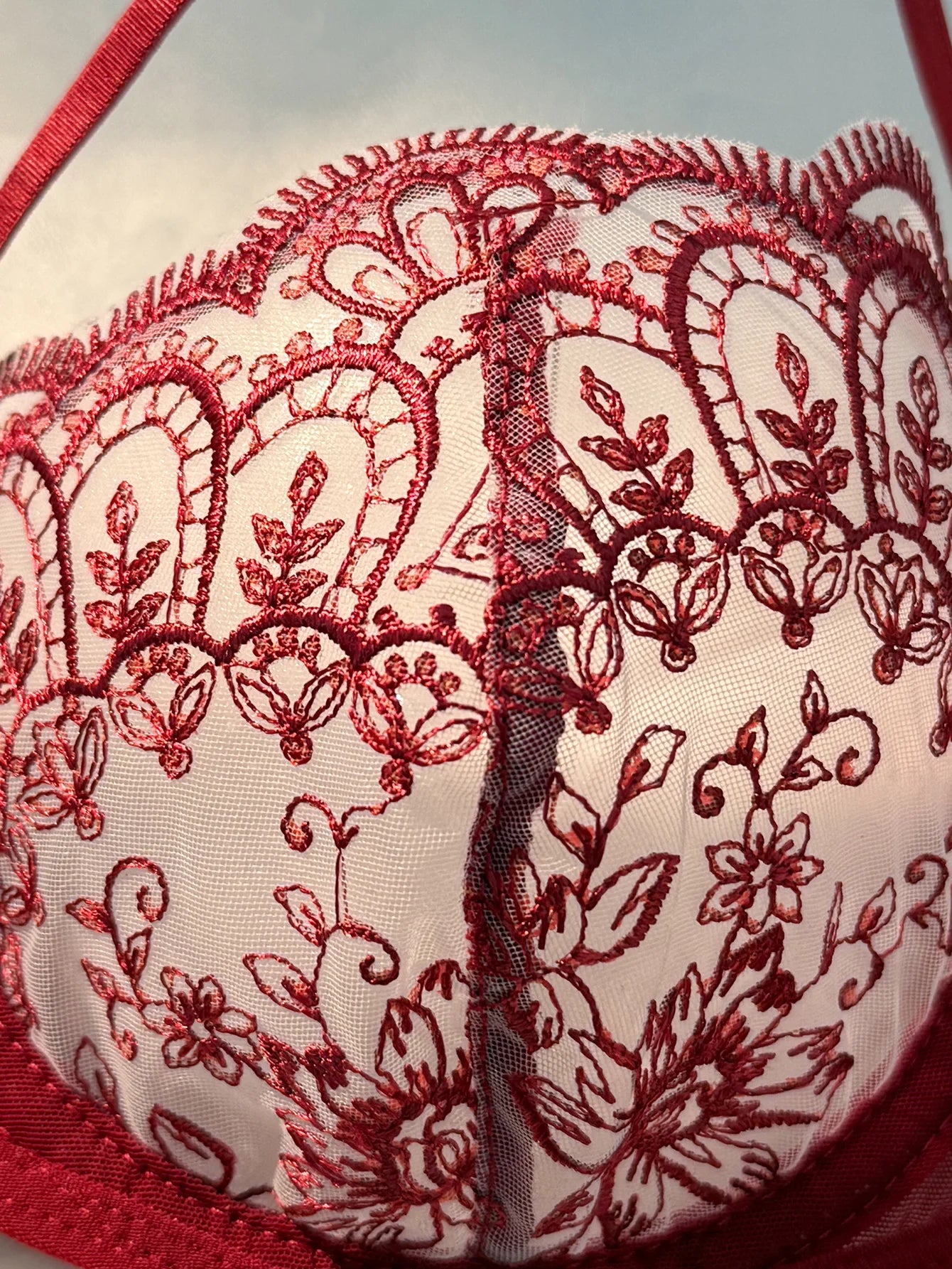 WineRed French-style floral embroidery lace lingerie set