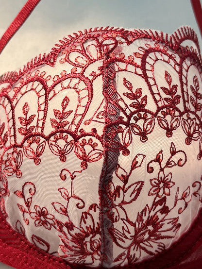 WineRed French-style floral embroidery lace lingerie set
