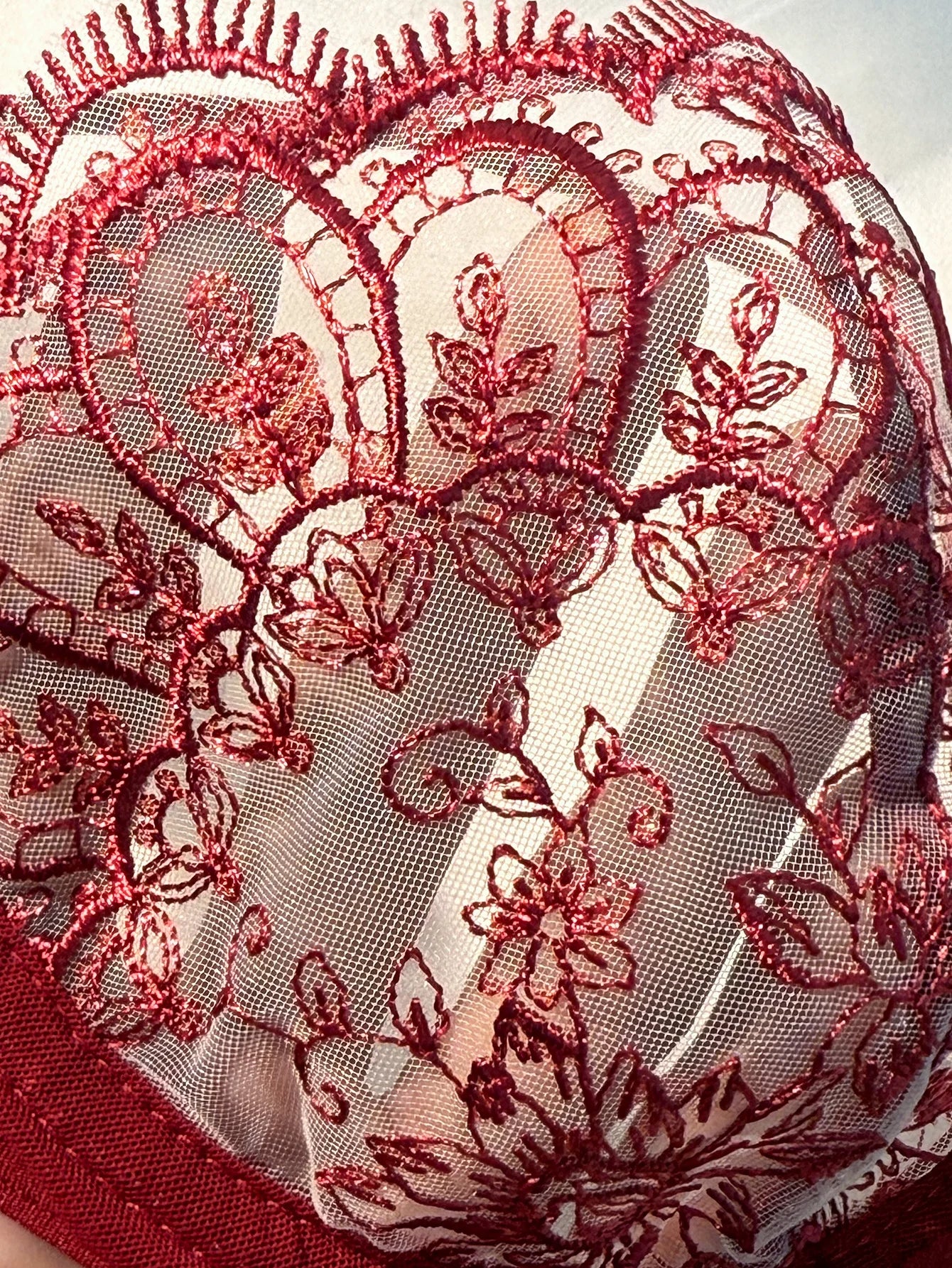 WineRed French-style floral embroidery lace lingerie set